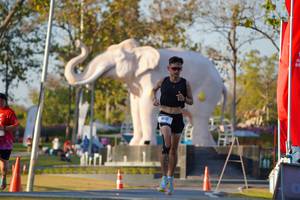 BIB: 
                            <button type="button" onclick="openModal(26189408)" class="btn btn-primary btn-sm float-right btn-popup" data-toggle="modal" data-target=".modal-high-quality">
                        <i class="fas fa-shopping-cart"></i> Add to Cart
                    </button>
                                            <button type="button" onclick="isThisMe(26189408, true)" class="btn btn-success btn-sm float-right btn-popup btn-isme hidden" data-toggle="tooltip" data-placement="bottom" title="นี่คือรูปของคุณใช่ไหม คลิกที่นี่เพื่อเอาเข้าอัลบั้ม">
                        <i class="fas fa-plus"></i> Add to album
                    </button>
                    <button type="button" onclick="isThisMe(26189408, false)" class="btn btn-warning btn-sm float-right btn-popup btn-isnotme hidden">
                        <i class="fas fa-ban"></i> Remove from album
                    </button>