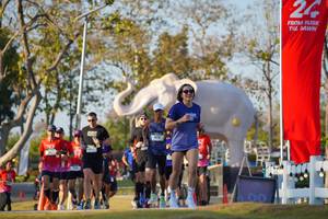 BIB: 
                            <button type="button" onclick="openModal(26188585)" class="btn btn-primary btn-sm float-right btn-popup" data-toggle="modal" data-target=".modal-high-quality">
                        <i class="fas fa-shopping-cart"></i> Add to Cart
                    </button>
                                            <button type="button" onclick="isThisMe(26188585, true)" class="btn btn-success btn-sm float-right btn-popup btn-isme hidden" data-toggle="tooltip" data-placement="bottom" title="นี่คือรูปของคุณใช่ไหม คลิกที่นี่เพื่อเอาเข้าอัลบั้ม">
                        <i class="fas fa-plus"></i> Add to album
                    </button>
                    <button type="button" onclick="isThisMe(26188585, false)" class="btn btn-warning btn-sm float-right btn-popup btn-isnotme hidden">
                        <i class="fas fa-ban"></i> Remove from album
                    </button>