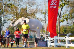 BIB: 
                            <button type="button" onclick="openModal(26188117)" class="btn btn-primary btn-sm float-right btn-popup" data-toggle="modal" data-target=".modal-high-quality">
                        <i class="fas fa-shopping-cart"></i> Add to Cart
                    </button>
                                            <button type="button" onclick="isThisMe(26188117, true)" class="btn btn-success btn-sm float-right btn-popup btn-isme hidden" data-toggle="tooltip" data-placement="bottom" title="นี่คือรูปของคุณใช่ไหม คลิกที่นี่เพื่อเอาเข้าอัลบั้ม">
                        <i class="fas fa-plus"></i> Add to album
                    </button>
                    <button type="button" onclick="isThisMe(26188117, false)" class="btn btn-warning btn-sm float-right btn-popup btn-isnotme hidden">
                        <i class="fas fa-ban"></i> Remove from album
                    </button>