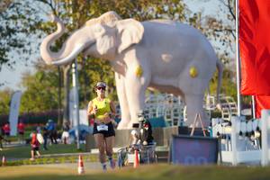 BIB: 
                            <button type="button" onclick="openModal(26188460)" class="btn btn-primary btn-sm float-right btn-popup" data-toggle="modal" data-target=".modal-high-quality">
                        <i class="fas fa-shopping-cart"></i> Add to Cart
                    </button>
                                            <button type="button" onclick="isThisMe(26188460, true)" class="btn btn-success btn-sm float-right btn-popup btn-isme hidden" data-toggle="tooltip" data-placement="bottom" title="นี่คือรูปของคุณใช่ไหม คลิกที่นี่เพื่อเอาเข้าอัลบั้ม">
                        <i class="fas fa-plus"></i> Add to album
                    </button>
                    <button type="button" onclick="isThisMe(26188460, false)" class="btn btn-warning btn-sm float-right btn-popup btn-isnotme hidden">
                        <i class="fas fa-ban"></i> Remove from album
                    </button>