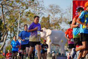 BIB: 
                            <button type="button" onclick="openModal(26188517)" class="btn btn-primary btn-sm float-right btn-popup" data-toggle="modal" data-target=".modal-high-quality">
                        <i class="fas fa-shopping-cart"></i> Add to Cart
                    </button>
                                            <button type="button" onclick="isThisMe(26188517, true)" class="btn btn-success btn-sm float-right btn-popup btn-isme hidden" data-toggle="tooltip" data-placement="bottom" title="นี่คือรูปของคุณใช่ไหม คลิกที่นี่เพื่อเอาเข้าอัลบั้ม">
                        <i class="fas fa-plus"></i> Add to album
                    </button>
                    <button type="button" onclick="isThisMe(26188517, false)" class="btn btn-warning btn-sm float-right btn-popup btn-isnotme hidden">
                        <i class="fas fa-ban"></i> Remove from album
                    </button>