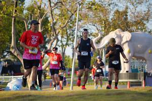 BIB: 
                            <button type="button" onclick="openModal(26188789)" class="btn btn-primary btn-sm float-right btn-popup" data-toggle="modal" data-target=".modal-high-quality">
                        <i class="fas fa-shopping-cart"></i> Add to Cart
                    </button>
                                            <button type="button" onclick="isThisMe(26188789, true)" class="btn btn-success btn-sm float-right btn-popup btn-isme hidden" data-toggle="tooltip" data-placement="bottom" title="นี่คือรูปของคุณใช่ไหม คลิกที่นี่เพื่อเอาเข้าอัลบั้ม">
                        <i class="fas fa-plus"></i> Add to album
                    </button>
                    <button type="button" onclick="isThisMe(26188789, false)" class="btn btn-warning btn-sm float-right btn-popup btn-isnotme hidden">
                        <i class="fas fa-ban"></i> Remove from album
                    </button>