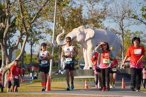 BIB: 
                            <button type="button" onclick="openModal(26187927)" class="btn btn-primary btn-sm float-right btn-popup" data-toggle="modal" data-target=".modal-high-quality">
                        <i class="fas fa-shopping-cart"></i> Add to Cart
                    </button>
                                            <button type="button" onclick="isThisMe(26187927, true)" class="btn btn-success btn-sm float-right btn-popup btn-isme hidden" data-toggle="tooltip" data-placement="bottom" title="นี่คือรูปของคุณใช่ไหม คลิกที่นี่เพื่อเอาเข้าอัลบั้ม">
                        <i class="fas fa-plus"></i> Add to album
                    </button>
                    <button type="button" onclick="isThisMe(26187927, false)" class="btn btn-warning btn-sm float-right btn-popup btn-isnotme hidden">
                        <i class="fas fa-ban"></i> Remove from album
                    </button>