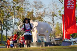 BIB: 
                            <button type="button" onclick="openModal(26189211)" class="btn btn-primary btn-sm float-right btn-popup" data-toggle="modal" data-target=".modal-high-quality">
                        <i class="fas fa-shopping-cart"></i> Add to Cart
                    </button>
                                            <button type="button" onclick="isThisMe(26189211, true)" class="btn btn-success btn-sm float-right btn-popup btn-isme hidden" data-toggle="tooltip" data-placement="bottom" title="นี่คือรูปของคุณใช่ไหม คลิกที่นี่เพื่อเอาเข้าอัลบั้ม">
                        <i class="fas fa-plus"></i> Add to album
                    </button>
                    <button type="button" onclick="isThisMe(26189211, false)" class="btn btn-warning btn-sm float-right btn-popup btn-isnotme hidden">
                        <i class="fas fa-ban"></i> Remove from album
                    </button>