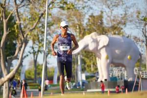 BIB: 
                            <button type="button" onclick="openModal(26188076)" class="btn btn-primary btn-sm float-right btn-popup" data-toggle="modal" data-target=".modal-high-quality">
                        <i class="fas fa-shopping-cart"></i> Add to Cart
                    </button>
                                            <button type="button" onclick="isThisMe(26188076, true)" class="btn btn-success btn-sm float-right btn-popup btn-isme hidden" data-toggle="tooltip" data-placement="bottom" title="นี่คือรูปของคุณใช่ไหม คลิกที่นี่เพื่อเอาเข้าอัลบั้ม">
                        <i class="fas fa-plus"></i> Add to album
                    </button>
                    <button type="button" onclick="isThisMe(26188076, false)" class="btn btn-warning btn-sm float-right btn-popup btn-isnotme hidden">
                        <i class="fas fa-ban"></i> Remove from album
                    </button>