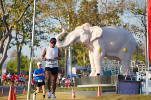 BIB: 
                            <button type="button" onclick="openModal(26188168)" class="btn btn-primary btn-sm float-right btn-popup" data-toggle="modal" data-target=".modal-high-quality">
                        <i class="fas fa-shopping-cart"></i> Add to Cart
                    </button>
                                            <button type="button" onclick="isThisMe(26188168, true)" class="btn btn-success btn-sm float-right btn-popup btn-isme hidden" data-toggle="tooltip" data-placement="bottom" title="นี่คือรูปของคุณใช่ไหม คลิกที่นี่เพื่อเอาเข้าอัลบั้ม">
                        <i class="fas fa-plus"></i> Add to album
                    </button>
                    <button type="button" onclick="isThisMe(26188168, false)" class="btn btn-warning btn-sm float-right btn-popup btn-isnotme hidden">
                        <i class="fas fa-ban"></i> Remove from album
                    </button>