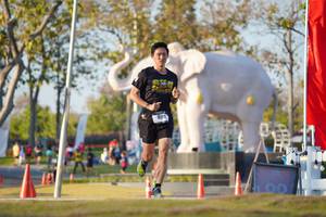 BIB: 
                            <button type="button" onclick="openModal(26188291)" class="btn btn-primary btn-sm float-right btn-popup" data-toggle="modal" data-target=".modal-high-quality">
                        <i class="fas fa-shopping-cart"></i> Add to Cart
                    </button>
                                            <button type="button" onclick="isThisMe(26188291, true)" class="btn btn-success btn-sm float-right btn-popup btn-isme hidden" data-toggle="tooltip" data-placement="bottom" title="นี่คือรูปของคุณใช่ไหม คลิกที่นี่เพื่อเอาเข้าอัลบั้ม">
                        <i class="fas fa-plus"></i> Add to album
                    </button>
                    <button type="button" onclick="isThisMe(26188291, false)" class="btn btn-warning btn-sm float-right btn-popup btn-isnotme hidden">
                        <i class="fas fa-ban"></i> Remove from album
                    </button>