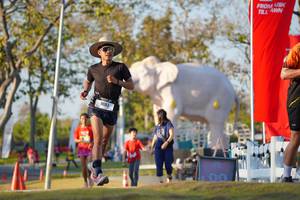 BIB: 
                            <button type="button" onclick="openModal(26188417)" class="btn btn-primary btn-sm float-right btn-popup" data-toggle="modal" data-target=".modal-high-quality">
                        <i class="fas fa-shopping-cart"></i> Add to Cart
                    </button>
                                            <button type="button" onclick="isThisMe(26188417, true)" class="btn btn-success btn-sm float-right btn-popup btn-isme hidden" data-toggle="tooltip" data-placement="bottom" title="นี่คือรูปของคุณใช่ไหม คลิกที่นี่เพื่อเอาเข้าอัลบั้ม">
                        <i class="fas fa-plus"></i> Add to album
                    </button>
                    <button type="button" onclick="isThisMe(26188417, false)" class="btn btn-warning btn-sm float-right btn-popup btn-isnotme hidden">
                        <i class="fas fa-ban"></i> Remove from album
                    </button>