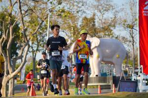 BIB: 
                            <button type="button" onclick="openModal(26188657)" class="btn btn-primary btn-sm float-right btn-popup" data-toggle="modal" data-target=".modal-high-quality">
                        <i class="fas fa-shopping-cart"></i> Add to Cart
                    </button>
                                            <button type="button" onclick="isThisMe(26188657, true)" class="btn btn-success btn-sm float-right btn-popup btn-isme hidden" data-toggle="tooltip" data-placement="bottom" title="นี่คือรูปของคุณใช่ไหม คลิกที่นี่เพื่อเอาเข้าอัลบั้ม">
                        <i class="fas fa-plus"></i> Add to album
                    </button>
                    <button type="button" onclick="isThisMe(26188657, false)" class="btn btn-warning btn-sm float-right btn-popup btn-isnotme hidden">
                        <i class="fas fa-ban"></i> Remove from album
                    </button>