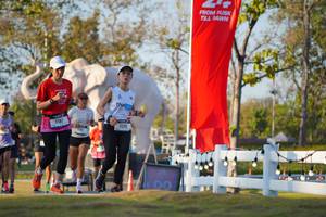 BIB: 
                            <button type="button" onclick="openModal(26188542)" class="btn btn-primary btn-sm float-right btn-popup" data-toggle="modal" data-target=".modal-high-quality">
                        <i class="fas fa-shopping-cart"></i> Add to Cart
                    </button>
                                            <button type="button" onclick="isThisMe(26188542, true)" class="btn btn-success btn-sm float-right btn-popup btn-isme hidden" data-toggle="tooltip" data-placement="bottom" title="นี่คือรูปของคุณใช่ไหม คลิกที่นี่เพื่อเอาเข้าอัลบั้ม">
                        <i class="fas fa-plus"></i> Add to album
                    </button>
                    <button type="button" onclick="isThisMe(26188542, false)" class="btn btn-warning btn-sm float-right btn-popup btn-isnotme hidden">
                        <i class="fas fa-ban"></i> Remove from album
                    </button>