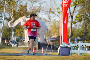 BIB: 
                            <button type="button" onclick="openModal(26189426)" class="btn btn-primary btn-sm float-right btn-popup" data-toggle="modal" data-target=".modal-high-quality">
                        <i class="fas fa-shopping-cart"></i> Add to Cart
                    </button>
                                            <button type="button" onclick="isThisMe(26189426, true)" class="btn btn-success btn-sm float-right btn-popup btn-isme hidden" data-toggle="tooltip" data-placement="bottom" title="นี่คือรูปของคุณใช่ไหม คลิกที่นี่เพื่อเอาเข้าอัลบั้ม">
                        <i class="fas fa-plus"></i> Add to album
                    </button>
                    <button type="button" onclick="isThisMe(26189426, false)" class="btn btn-warning btn-sm float-right btn-popup btn-isnotme hidden">
                        <i class="fas fa-ban"></i> Remove from album
                    </button>