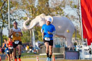 BIB: 
                            <button type="button" onclick="openModal(26188186)" class="btn btn-primary btn-sm float-right btn-popup" data-toggle="modal" data-target=".modal-high-quality">
                        <i class="fas fa-shopping-cart"></i> Add to Cart
                    </button>
                                            <button type="button" onclick="isThisMe(26188186, true)" class="btn btn-success btn-sm float-right btn-popup btn-isme hidden" data-toggle="tooltip" data-placement="bottom" title="นี่คือรูปของคุณใช่ไหม คลิกที่นี่เพื่อเอาเข้าอัลบั้ม">
                        <i class="fas fa-plus"></i> Add to album
                    </button>
                    <button type="button" onclick="isThisMe(26188186, false)" class="btn btn-warning btn-sm float-right btn-popup btn-isnotme hidden">
                        <i class="fas fa-ban"></i> Remove from album
                    </button>