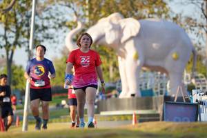 BIB: 
                            <button type="button" onclick="openModal(26188825)" class="btn btn-primary btn-sm float-right btn-popup" data-toggle="modal" data-target=".modal-high-quality">
                        <i class="fas fa-shopping-cart"></i> Add to Cart
                    </button>
                                            <button type="button" onclick="isThisMe(26188825, true)" class="btn btn-success btn-sm float-right btn-popup btn-isme hidden" data-toggle="tooltip" data-placement="bottom" title="นี่คือรูปของคุณใช่ไหม คลิกที่นี่เพื่อเอาเข้าอัลบั้ม">
                        <i class="fas fa-plus"></i> Add to album
                    </button>
                    <button type="button" onclick="isThisMe(26188825, false)" class="btn btn-warning btn-sm float-right btn-popup btn-isnotme hidden">
                        <i class="fas fa-ban"></i> Remove from album
                    </button>