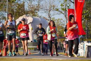 BIB: 
                            <button type="button" onclick="openModal(26187938)" class="btn btn-primary btn-sm float-right btn-popup" data-toggle="modal" data-target=".modal-high-quality">
                        <i class="fas fa-shopping-cart"></i> Add to Cart
                    </button>
                                            <button type="button" onclick="isThisMe(26187938, true)" class="btn btn-success btn-sm float-right btn-popup btn-isme hidden" data-toggle="tooltip" data-placement="bottom" title="นี่คือรูปของคุณใช่ไหม คลิกที่นี่เพื่อเอาเข้าอัลบั้ม">
                        <i class="fas fa-plus"></i> Add to album
                    </button>
                    <button type="button" onclick="isThisMe(26187938, false)" class="btn btn-warning btn-sm float-right btn-popup btn-isnotme hidden">
                        <i class="fas fa-ban"></i> Remove from album
                    </button>