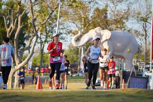 BIB: 
                            <button type="button" onclick="openModal(26188536)" class="btn btn-primary btn-sm float-right btn-popup" data-toggle="modal" data-target=".modal-high-quality">
                        <i class="fas fa-shopping-cart"></i> Add to Cart
                    </button>
                                            <button type="button" onclick="isThisMe(26188536, true)" class="btn btn-success btn-sm float-right btn-popup btn-isme hidden" data-toggle="tooltip" data-placement="bottom" title="นี่คือรูปของคุณใช่ไหม คลิกที่นี่เพื่อเอาเข้าอัลบั้ม">
                        <i class="fas fa-plus"></i> Add to album
                    </button>
                    <button type="button" onclick="isThisMe(26188536, false)" class="btn btn-warning btn-sm float-right btn-popup btn-isnotme hidden">
                        <i class="fas fa-ban"></i> Remove from album
                    </button>