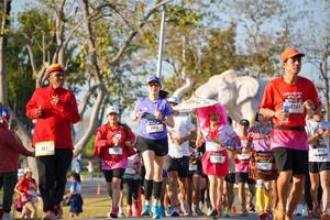 BIB: 
                            <button type="button" onclick="openModal(26187640)" class="btn btn-primary btn-sm float-right btn-popup" data-toggle="modal" data-target=".modal-high-quality">
                        <i class="fas fa-shopping-cart"></i> Add to Cart
                    </button>
                                            <button type="button" onclick="isThisMe(26187640, true)" class="btn btn-success btn-sm float-right btn-popup btn-isme hidden" data-toggle="tooltip" data-placement="bottom" title="นี่คือรูปของคุณใช่ไหม คลิกที่นี่เพื่อเอาเข้าอัลบั้ม">
                        <i class="fas fa-plus"></i> Add to album
                    </button>
                    <button type="button" onclick="isThisMe(26187640, false)" class="btn btn-warning btn-sm float-right btn-popup btn-isnotme hidden">
                        <i class="fas fa-ban"></i> Remove from album
                    </button>