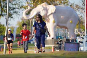 BIB: 
                            <button type="button" onclick="openModal(26188441)" class="btn btn-primary btn-sm float-right btn-popup" data-toggle="modal" data-target=".modal-high-quality">
                        <i class="fas fa-shopping-cart"></i> Add to Cart
                    </button>
                                            <button type="button" onclick="isThisMe(26188441, true)" class="btn btn-success btn-sm float-right btn-popup btn-isme hidden" data-toggle="tooltip" data-placement="bottom" title="นี่คือรูปของคุณใช่ไหม คลิกที่นี่เพื่อเอาเข้าอัลบั้ม">
                        <i class="fas fa-plus"></i> Add to album
                    </button>
                    <button type="button" onclick="isThisMe(26188441, false)" class="btn btn-warning btn-sm float-right btn-popup btn-isnotme hidden">
                        <i class="fas fa-ban"></i> Remove from album
                    </button>