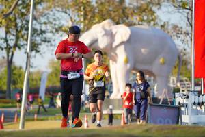 BIB: 
                            <button type="button" onclick="openModal(26188407)" class="btn btn-primary btn-sm float-right btn-popup" data-toggle="modal" data-target=".modal-high-quality">
                        <i class="fas fa-shopping-cart"></i> Add to Cart
                    </button>
                                            <button type="button" onclick="isThisMe(26188407, true)" class="btn btn-success btn-sm float-right btn-popup btn-isme hidden" data-toggle="tooltip" data-placement="bottom" title="นี่คือรูปของคุณใช่ไหม คลิกที่นี่เพื่อเอาเข้าอัลบั้ม">
                        <i class="fas fa-plus"></i> Add to album
                    </button>
                    <button type="button" onclick="isThisMe(26188407, false)" class="btn btn-warning btn-sm float-right btn-popup btn-isnotme hidden">
                        <i class="fas fa-ban"></i> Remove from album
                    </button>