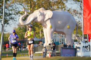 BIB: 
                            <button type="button" onclick="openModal(26188470)" class="btn btn-primary btn-sm float-right btn-popup" data-toggle="modal" data-target=".modal-high-quality">
                        <i class="fas fa-shopping-cart"></i> Add to Cart
                    </button>
                                            <button type="button" onclick="isThisMe(26188470, true)" class="btn btn-success btn-sm float-right btn-popup btn-isme hidden" data-toggle="tooltip" data-placement="bottom" title="นี่คือรูปของคุณใช่ไหม คลิกที่นี่เพื่อเอาเข้าอัลบั้ม">
                        <i class="fas fa-plus"></i> Add to album
                    </button>
                    <button type="button" onclick="isThisMe(26188470, false)" class="btn btn-warning btn-sm float-right btn-popup btn-isnotme hidden">
                        <i class="fas fa-ban"></i> Remove from album
                    </button>