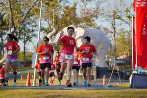 BIB: 
                            <button type="button" onclick="openModal(26189310)" class="btn btn-primary btn-sm float-right btn-popup" data-toggle="modal" data-target=".modal-high-quality">
                        <i class="fas fa-shopping-cart"></i> Add to Cart
                    </button>
                                            <button type="button" onclick="isThisMe(26189310, true)" class="btn btn-success btn-sm float-right btn-popup btn-isme hidden" data-toggle="tooltip" data-placement="bottom" title="นี่คือรูปของคุณใช่ไหม คลิกที่นี่เพื่อเอาเข้าอัลบั้ม">
                        <i class="fas fa-plus"></i> Add to album
                    </button>
                    <button type="button" onclick="isThisMe(26189310, false)" class="btn btn-warning btn-sm float-right btn-popup btn-isnotme hidden">
                        <i class="fas fa-ban"></i> Remove from album
                    </button>