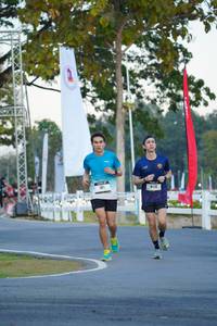 BIB: 
                            <button type="button" onclick="openModal(26192245)" class="btn btn-primary btn-sm float-right btn-popup" data-toggle="modal" data-target=".modal-high-quality">
                        <i class="fas fa-shopping-cart"></i> Add to Cart
                    </button>
                                            <button type="button" onclick="isThisMe(26192245, true)" class="btn btn-success btn-sm float-right btn-popup btn-isme hidden" data-toggle="tooltip" data-placement="bottom" title="นี่คือรูปของคุณใช่ไหม คลิกที่นี่เพื่อเอาเข้าอัลบั้ม">
                        <i class="fas fa-plus"></i> Add to album
                    </button>
                    <button type="button" onclick="isThisMe(26192245, false)" class="btn btn-warning btn-sm float-right btn-popup btn-isnotme hidden">
                        <i class="fas fa-ban"></i> Remove from album
                    </button>