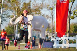 BIB: 
                            <button type="button" onclick="openModal(26188381)" class="btn btn-primary btn-sm float-right btn-popup" data-toggle="modal" data-target=".modal-high-quality">
                        <i class="fas fa-shopping-cart"></i> Add to Cart
                    </button>
                                            <button type="button" onclick="isThisMe(26188381, true)" class="btn btn-success btn-sm float-right btn-popup btn-isme hidden" data-toggle="tooltip" data-placement="bottom" title="นี่คือรูปของคุณใช่ไหม คลิกที่นี่เพื่อเอาเข้าอัลบั้ม">
                        <i class="fas fa-plus"></i> Add to album
                    </button>
                    <button type="button" onclick="isThisMe(26188381, false)" class="btn btn-warning btn-sm float-right btn-popup btn-isnotme hidden">
                        <i class="fas fa-ban"></i> Remove from album
                    </button>