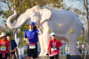 BIB: 
                            <button type="button" onclick="openModal(26189227)" class="btn btn-primary btn-sm float-right btn-popup" data-toggle="modal" data-target=".modal-high-quality">
                        <i class="fas fa-shopping-cart"></i> Add to Cart
                    </button>
                                            <button type="button" onclick="isThisMe(26189227, true)" class="btn btn-success btn-sm float-right btn-popup btn-isme hidden" data-toggle="tooltip" data-placement="bottom" title="นี่คือรูปของคุณใช่ไหม คลิกที่นี่เพื่อเอาเข้าอัลบั้ม">
                        <i class="fas fa-plus"></i> Add to album
                    </button>
                    <button type="button" onclick="isThisMe(26189227, false)" class="btn btn-warning btn-sm float-right btn-popup btn-isnotme hidden">
                        <i class="fas fa-ban"></i> Remove from album
                    </button>