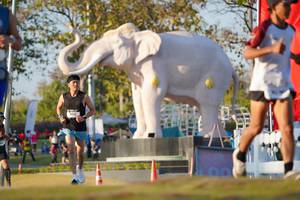 BIB: 
                            <button type="button" onclick="openModal(26188238)" class="btn btn-primary btn-sm float-right btn-popup" data-toggle="modal" data-target=".modal-high-quality">
                        <i class="fas fa-shopping-cart"></i> Add to Cart
                    </button>
                                            <button type="button" onclick="isThisMe(26188238, true)" class="btn btn-success btn-sm float-right btn-popup btn-isme hidden" data-toggle="tooltip" data-placement="bottom" title="นี่คือรูปของคุณใช่ไหม คลิกที่นี่เพื่อเอาเข้าอัลบั้ม">
                        <i class="fas fa-plus"></i> Add to album
                    </button>
                    <button type="button" onclick="isThisMe(26188238, false)" class="btn btn-warning btn-sm float-right btn-popup btn-isnotme hidden">
                        <i class="fas fa-ban"></i> Remove from album
                    </button>