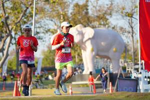 BIB: 
                            <button type="button" onclick="openModal(26188391)" class="btn btn-primary btn-sm float-right btn-popup" data-toggle="modal" data-target=".modal-high-quality">
                        <i class="fas fa-shopping-cart"></i> Add to Cart
                    </button>
                                            <button type="button" onclick="isThisMe(26188391, true)" class="btn btn-success btn-sm float-right btn-popup btn-isme hidden" data-toggle="tooltip" data-placement="bottom" title="นี่คือรูปของคุณใช่ไหม คลิกที่นี่เพื่อเอาเข้าอัลบั้ม">
                        <i class="fas fa-plus"></i> Add to album
                    </button>
                    <button type="button" onclick="isThisMe(26188391, false)" class="btn btn-warning btn-sm float-right btn-popup btn-isnotme hidden">
                        <i class="fas fa-ban"></i> Remove from album
                    </button>