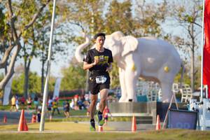 BIB: 
                            <button type="button" onclick="openModal(26188289)" class="btn btn-primary btn-sm float-right btn-popup" data-toggle="modal" data-target=".modal-high-quality">
                        <i class="fas fa-shopping-cart"></i> Add to Cart
                    </button>
                                            <button type="button" onclick="isThisMe(26188289, true)" class="btn btn-success btn-sm float-right btn-popup btn-isme hidden" data-toggle="tooltip" data-placement="bottom" title="นี่คือรูปของคุณใช่ไหม คลิกที่นี่เพื่อเอาเข้าอัลบั้ม">
                        <i class="fas fa-plus"></i> Add to album
                    </button>
                    <button type="button" onclick="isThisMe(26188289, false)" class="btn btn-warning btn-sm float-right btn-popup btn-isnotme hidden">
                        <i class="fas fa-ban"></i> Remove from album
                    </button>