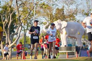 BIB: 
                            <button type="button" onclick="openModal(26188672)" class="btn btn-primary btn-sm float-right btn-popup" data-toggle="modal" data-target=".modal-high-quality">
                        <i class="fas fa-shopping-cart"></i> Add to Cart
                    </button>
                                            <button type="button" onclick="isThisMe(26188672, true)" class="btn btn-success btn-sm float-right btn-popup btn-isme hidden" data-toggle="tooltip" data-placement="bottom" title="นี่คือรูปของคุณใช่ไหม คลิกที่นี่เพื่อเอาเข้าอัลบั้ม">
                        <i class="fas fa-plus"></i> Add to album
                    </button>
                    <button type="button" onclick="isThisMe(26188672, false)" class="btn btn-warning btn-sm float-right btn-popup btn-isnotme hidden">
                        <i class="fas fa-ban"></i> Remove from album
                    </button>