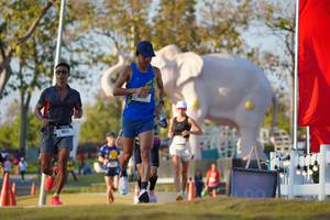 BIB: 
                            <button type="button" onclick="openModal(26188296)" class="btn btn-primary btn-sm float-right btn-popup" data-toggle="modal" data-target=".modal-high-quality">
                        <i class="fas fa-shopping-cart"></i> Add to Cart
                    </button>
                                            <button type="button" onclick="isThisMe(26188296, true)" class="btn btn-success btn-sm float-right btn-popup btn-isme hidden" data-toggle="tooltip" data-placement="bottom" title="นี่คือรูปของคุณใช่ไหม คลิกที่นี่เพื่อเอาเข้าอัลบั้ม">
                        <i class="fas fa-plus"></i> Add to album
                    </button>
                    <button type="button" onclick="isThisMe(26188296, false)" class="btn btn-warning btn-sm float-right btn-popup btn-isnotme hidden">
                        <i class="fas fa-ban"></i> Remove from album
                    </button>