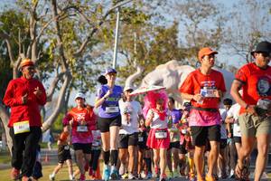 BIB: 
                            <button type="button" onclick="openModal(26187636)" class="btn btn-primary btn-sm float-right btn-popup" data-toggle="modal" data-target=".modal-high-quality">
                        <i class="fas fa-shopping-cart"></i> Add to Cart
                    </button>
                                            <button type="button" onclick="isThisMe(26187636, true)" class="btn btn-success btn-sm float-right btn-popup btn-isme hidden" data-toggle="tooltip" data-placement="bottom" title="นี่คือรูปของคุณใช่ไหม คลิกที่นี่เพื่อเอาเข้าอัลบั้ม">
                        <i class="fas fa-plus"></i> Add to album
                    </button>
                    <button type="button" onclick="isThisMe(26187636, false)" class="btn btn-warning btn-sm float-right btn-popup btn-isnotme hidden">
                        <i class="fas fa-ban"></i> Remove from album
                    </button>