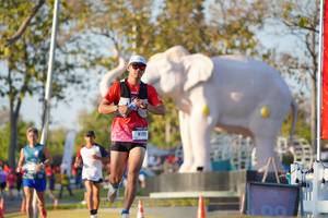 BIB: 
                            <button type="button" onclick="openModal(26188217)" class="btn btn-primary btn-sm float-right btn-popup" data-toggle="modal" data-target=".modal-high-quality">
                        <i class="fas fa-shopping-cart"></i> Add to Cart
                    </button>
                                            <button type="button" onclick="isThisMe(26188217, true)" class="btn btn-success btn-sm float-right btn-popup btn-isme hidden" data-toggle="tooltip" data-placement="bottom" title="นี่คือรูปของคุณใช่ไหม คลิกที่นี่เพื่อเอาเข้าอัลบั้ม">
                        <i class="fas fa-plus"></i> Add to album
                    </button>
                    <button type="button" onclick="isThisMe(26188217, false)" class="btn btn-warning btn-sm float-right btn-popup btn-isnotme hidden">
                        <i class="fas fa-ban"></i> Remove from album
                    </button>