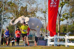 BIB: 
                            <button type="button" onclick="openModal(26188112)" class="btn btn-primary btn-sm float-right btn-popup" data-toggle="modal" data-target=".modal-high-quality">
                        <i class="fas fa-shopping-cart"></i> Add to Cart
                    </button>
                                            <button type="button" onclick="isThisMe(26188112, true)" class="btn btn-success btn-sm float-right btn-popup btn-isme hidden" data-toggle="tooltip" data-placement="bottom" title="นี่คือรูปของคุณใช่ไหม คลิกที่นี่เพื่อเอาเข้าอัลบั้ม">
                        <i class="fas fa-plus"></i> Add to album
                    </button>
                    <button type="button" onclick="isThisMe(26188112, false)" class="btn btn-warning btn-sm float-right btn-popup btn-isnotme hidden">
                        <i class="fas fa-ban"></i> Remove from album
                    </button>