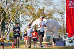 BIB: 
                            <button type="button" onclick="openModal(26188666)" class="btn btn-primary btn-sm float-right btn-popup" data-toggle="modal" data-target=".modal-high-quality">
                        <i class="fas fa-shopping-cart"></i> Add to Cart
                    </button>
                                            <button type="button" onclick="isThisMe(26188666, true)" class="btn btn-success btn-sm float-right btn-popup btn-isme hidden" data-toggle="tooltip" data-placement="bottom" title="นี่คือรูปของคุณใช่ไหม คลิกที่นี่เพื่อเอาเข้าอัลบั้ม">
                        <i class="fas fa-plus"></i> Add to album
                    </button>
                    <button type="button" onclick="isThisMe(26188666, false)" class="btn btn-warning btn-sm float-right btn-popup btn-isnotme hidden">
                        <i class="fas fa-ban"></i> Remove from album
                    </button>