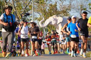 BIB: 
                            <button type="button" onclick="openModal(26187604)" class="btn btn-primary btn-sm float-right btn-popup" data-toggle="modal" data-target=".modal-high-quality">
                        <i class="fas fa-shopping-cart"></i> Add to Cart
                    </button>
                                            <button type="button" onclick="isThisMe(26187604, true)" class="btn btn-success btn-sm float-right btn-popup btn-isme hidden" data-toggle="tooltip" data-placement="bottom" title="นี่คือรูปของคุณใช่ไหม คลิกที่นี่เพื่อเอาเข้าอัลบั้ม">
                        <i class="fas fa-plus"></i> Add to album
                    </button>
                    <button type="button" onclick="isThisMe(26187604, false)" class="btn btn-warning btn-sm float-right btn-popup btn-isnotme hidden">
                        <i class="fas fa-ban"></i> Remove from album
                    </button>