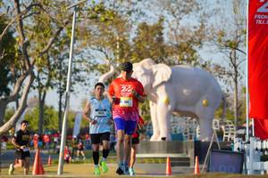 BIB: 
                            <button type="button" onclick="openModal(26188266)" class="btn btn-primary btn-sm float-right btn-popup" data-toggle="modal" data-target=".modal-high-quality">
                        <i class="fas fa-shopping-cart"></i> Add to Cart
                    </button>
                                            <button type="button" onclick="isThisMe(26188266, true)" class="btn btn-success btn-sm float-right btn-popup btn-isme hidden" data-toggle="tooltip" data-placement="bottom" title="นี่คือรูปของคุณใช่ไหม คลิกที่นี่เพื่อเอาเข้าอัลบั้ม">
                        <i class="fas fa-plus"></i> Add to album
                    </button>
                    <button type="button" onclick="isThisMe(26188266, false)" class="btn btn-warning btn-sm float-right btn-popup btn-isnotme hidden">
                        <i class="fas fa-ban"></i> Remove from album
                    </button>