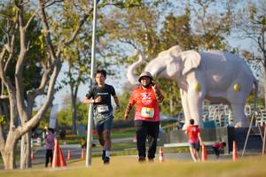 BIB: 
                            <button type="button" onclick="openModal(26188056)" class="btn btn-primary btn-sm float-right btn-popup" data-toggle="modal" data-target=".modal-high-quality">
                        <i class="fas fa-shopping-cart"></i> Add to Cart
                    </button>
                                            <button type="button" onclick="isThisMe(26188056, true)" class="btn btn-success btn-sm float-right btn-popup btn-isme hidden" data-toggle="tooltip" data-placement="bottom" title="นี่คือรูปของคุณใช่ไหม คลิกที่นี่เพื่อเอาเข้าอัลบั้ม">
                        <i class="fas fa-plus"></i> Add to album
                    </button>
                    <button type="button" onclick="isThisMe(26188056, false)" class="btn btn-warning btn-sm float-right btn-popup btn-isnotme hidden">
                        <i class="fas fa-ban"></i> Remove from album
                    </button>