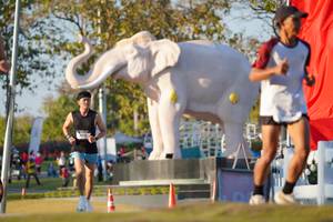 BIB: 
                            <button type="button" onclick="openModal(26188237)" class="btn btn-primary btn-sm float-right btn-popup" data-toggle="modal" data-target=".modal-high-quality">
                        <i class="fas fa-shopping-cart"></i> Add to Cart
                    </button>
                                            <button type="button" onclick="isThisMe(26188237, true)" class="btn btn-success btn-sm float-right btn-popup btn-isme hidden" data-toggle="tooltip" data-placement="bottom" title="นี่คือรูปของคุณใช่ไหม คลิกที่นี่เพื่อเอาเข้าอัลบั้ม">
                        <i class="fas fa-plus"></i> Add to album
                    </button>
                    <button type="button" onclick="isThisMe(26188237, false)" class="btn btn-warning btn-sm float-right btn-popup btn-isnotme hidden">
                        <i class="fas fa-ban"></i> Remove from album
                    </button>