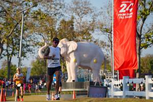 BIB: 
                            <button type="button" onclick="openModal(26188171)" class="btn btn-primary btn-sm float-right btn-popup" data-toggle="modal" data-target=".modal-high-quality">
                        <i class="fas fa-shopping-cart"></i> Add to Cart
                    </button>
                                            <button type="button" onclick="isThisMe(26188171, true)" class="btn btn-success btn-sm float-right btn-popup btn-isme hidden" data-toggle="tooltip" data-placement="bottom" title="นี่คือรูปของคุณใช่ไหม คลิกที่นี่เพื่อเอาเข้าอัลบั้ม">
                        <i class="fas fa-plus"></i> Add to album
                    </button>
                    <button type="button" onclick="isThisMe(26188171, false)" class="btn btn-warning btn-sm float-right btn-popup btn-isnotme hidden">
                        <i class="fas fa-ban"></i> Remove from album
                    </button>