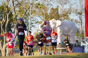 BIB: 
                            <button type="button" onclick="openModal(26188741)" class="btn btn-primary btn-sm float-right btn-popup" data-toggle="modal" data-target=".modal-high-quality">
                        <i class="fas fa-shopping-cart"></i> Add to Cart
                    </button>
                                            <button type="button" onclick="isThisMe(26188741, true)" class="btn btn-success btn-sm float-right btn-popup btn-isme hidden" data-toggle="tooltip" data-placement="bottom" title="นี่คือรูปของคุณใช่ไหม คลิกที่นี่เพื่อเอาเข้าอัลบั้ม">
                        <i class="fas fa-plus"></i> Add to album
                    </button>
                    <button type="button" onclick="isThisMe(26188741, false)" class="btn btn-warning btn-sm float-right btn-popup btn-isnotme hidden">
                        <i class="fas fa-ban"></i> Remove from album
                    </button>