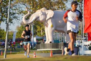 BIB: 
                            <button type="button" onclick="openModal(26188235)" class="btn btn-primary btn-sm float-right btn-popup" data-toggle="modal" data-target=".modal-high-quality">
                        <i class="fas fa-shopping-cart"></i> Add to Cart
                    </button>
                                            <button type="button" onclick="isThisMe(26188235, true)" class="btn btn-success btn-sm float-right btn-popup btn-isme hidden" data-toggle="tooltip" data-placement="bottom" title="นี่คือรูปของคุณใช่ไหม คลิกที่นี่เพื่อเอาเข้าอัลบั้ม">
                        <i class="fas fa-plus"></i> Add to album
                    </button>
                    <button type="button" onclick="isThisMe(26188235, false)" class="btn btn-warning btn-sm float-right btn-popup btn-isnotme hidden">
                        <i class="fas fa-ban"></i> Remove from album
                    </button>