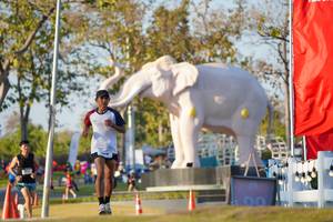 BIB: 
                            <button type="button" onclick="openModal(26188230)" class="btn btn-primary btn-sm float-right btn-popup" data-toggle="modal" data-target=".modal-high-quality">
                        <i class="fas fa-shopping-cart"></i> Add to Cart
                    </button>
                                            <button type="button" onclick="isThisMe(26188230, true)" class="btn btn-success btn-sm float-right btn-popup btn-isme hidden" data-toggle="tooltip" data-placement="bottom" title="นี่คือรูปของคุณใช่ไหม คลิกที่นี่เพื่อเอาเข้าอัลบั้ม">
                        <i class="fas fa-plus"></i> Add to album
                    </button>
                    <button type="button" onclick="isThisMe(26188230, false)" class="btn btn-warning btn-sm float-right btn-popup btn-isnotme hidden">
                        <i class="fas fa-ban"></i> Remove from album
                    </button>