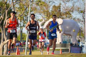 BIB: 
                            <button type="button" onclick="openModal(26188206)" class="btn btn-primary btn-sm float-right btn-popup" data-toggle="modal" data-target=".modal-high-quality">
                        <i class="fas fa-shopping-cart"></i> Add to Cart
                    </button>
                                            <button type="button" onclick="isThisMe(26188206, true)" class="btn btn-success btn-sm float-right btn-popup btn-isme hidden" data-toggle="tooltip" data-placement="bottom" title="นี่คือรูปของคุณใช่ไหม คลิกที่นี่เพื่อเอาเข้าอัลบั้ม">
                        <i class="fas fa-plus"></i> Add to album
                    </button>
                    <button type="button" onclick="isThisMe(26188206, false)" class="btn btn-warning btn-sm float-right btn-popup btn-isnotme hidden">
                        <i class="fas fa-ban"></i> Remove from album
                    </button>