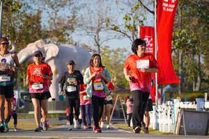 BIB: 
                            <button type="button" onclick="openModal(26187937)" class="btn btn-primary btn-sm float-right btn-popup" data-toggle="modal" data-target=".modal-high-quality">
                        <i class="fas fa-shopping-cart"></i> Add to Cart
                    </button>
                                            <button type="button" onclick="isThisMe(26187937, true)" class="btn btn-success btn-sm float-right btn-popup btn-isme hidden" data-toggle="tooltip" data-placement="bottom" title="นี่คือรูปของคุณใช่ไหม คลิกที่นี่เพื่อเอาเข้าอัลบั้ม">
                        <i class="fas fa-plus"></i> Add to album
                    </button>
                    <button type="button" onclick="isThisMe(26187937, false)" class="btn btn-warning btn-sm float-right btn-popup btn-isnotme hidden">
                        <i class="fas fa-ban"></i> Remove from album
                    </button>