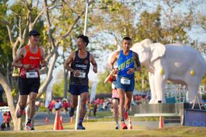 BIB: 
                            <button type="button" onclick="openModal(26188203)" class="btn btn-primary btn-sm float-right btn-popup" data-toggle="modal" data-target=".modal-high-quality">
                        <i class="fas fa-shopping-cart"></i> Add to Cart
                    </button>
                                            <button type="button" onclick="isThisMe(26188203, true)" class="btn btn-success btn-sm float-right btn-popup btn-isme hidden" data-toggle="tooltip" data-placement="bottom" title="นี่คือรูปของคุณใช่ไหม คลิกที่นี่เพื่อเอาเข้าอัลบั้ม">
                        <i class="fas fa-plus"></i> Add to album
                    </button>
                    <button type="button" onclick="isThisMe(26188203, false)" class="btn btn-warning btn-sm float-right btn-popup btn-isnotme hidden">
                        <i class="fas fa-ban"></i> Remove from album
                    </button>