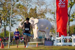 BIB: 
                            <button type="button" onclick="openModal(26188242)" class="btn btn-primary btn-sm float-right btn-popup" data-toggle="modal" data-target=".modal-high-quality">
                        <i class="fas fa-shopping-cart"></i> Add to Cart
                    </button>
                                            <button type="button" onclick="isThisMe(26188242, true)" class="btn btn-success btn-sm float-right btn-popup btn-isme hidden" data-toggle="tooltip" data-placement="bottom" title="นี่คือรูปของคุณใช่ไหม คลิกที่นี่เพื่อเอาเข้าอัลบั้ม">
                        <i class="fas fa-plus"></i> Add to album
                    </button>
                    <button type="button" onclick="isThisMe(26188242, false)" class="btn btn-warning btn-sm float-right btn-popup btn-isnotme hidden">
                        <i class="fas fa-ban"></i> Remove from album
                    </button>