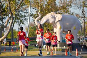 BIB: 
                            <button type="button" onclick="openModal(26189299)" class="btn btn-primary btn-sm float-right btn-popup" data-toggle="modal" data-target=".modal-high-quality">
                        <i class="fas fa-shopping-cart"></i> Add to Cart
                    </button>
                                            <button type="button" onclick="isThisMe(26189299, true)" class="btn btn-success btn-sm float-right btn-popup btn-isme hidden" data-toggle="tooltip" data-placement="bottom" title="นี่คือรูปของคุณใช่ไหม คลิกที่นี่เพื่อเอาเข้าอัลบั้ม">
                        <i class="fas fa-plus"></i> Add to album
                    </button>
                    <button type="button" onclick="isThisMe(26189299, false)" class="btn btn-warning btn-sm float-right btn-popup btn-isnotme hidden">
                        <i class="fas fa-ban"></i> Remove from album
                    </button>