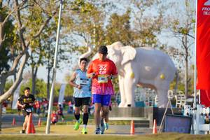 BIB: 
                            <button type="button" onclick="openModal(26188267)" class="btn btn-primary btn-sm float-right btn-popup" data-toggle="modal" data-target=".modal-high-quality">
                        <i class="fas fa-shopping-cart"></i> Add to Cart
                    </button>
                                            <button type="button" onclick="isThisMe(26188267, true)" class="btn btn-success btn-sm float-right btn-popup btn-isme hidden" data-toggle="tooltip" data-placement="bottom" title="นี่คือรูปของคุณใช่ไหม คลิกที่นี่เพื่อเอาเข้าอัลบั้ม">
                        <i class="fas fa-plus"></i> Add to album
                    </button>
                    <button type="button" onclick="isThisMe(26188267, false)" class="btn btn-warning btn-sm float-right btn-popup btn-isnotme hidden">
                        <i class="fas fa-ban"></i> Remove from album
                    </button>